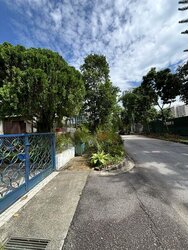 Mount Sinai (D10), Terrace #456399071